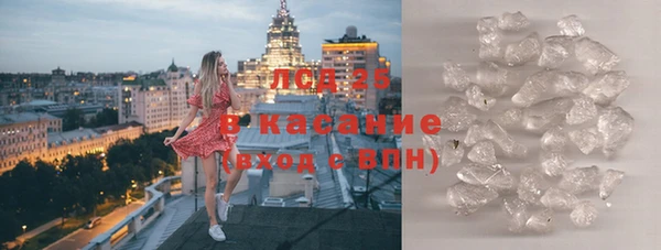 ПСИЛОЦИБИНОВЫЕ ГРИБЫ Алзамай